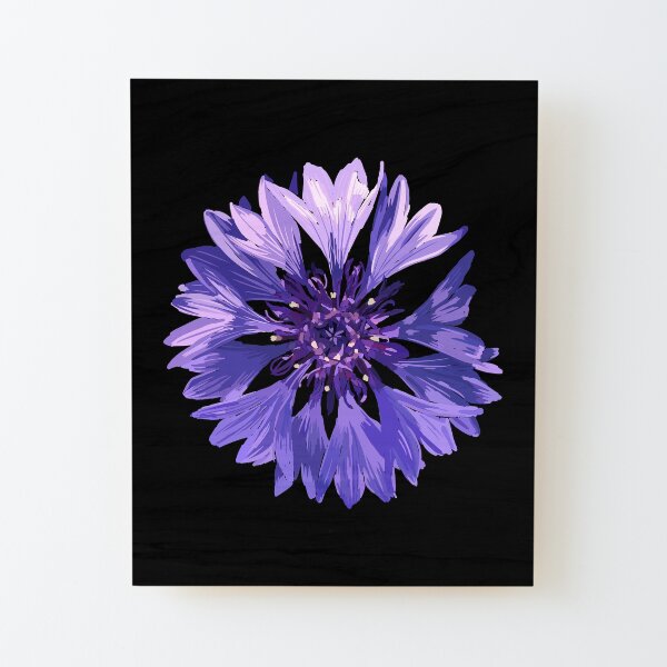 Mountain Cornflower - Black Wood Mounted Print