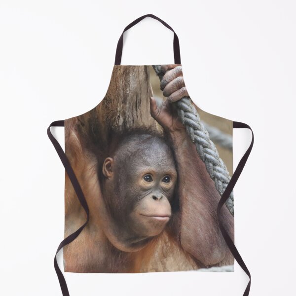 Item preview, OrangUtan 002 designed and sold by JAMFoto.