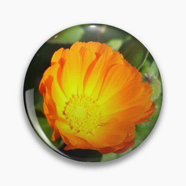 Item preview, Blooming designed and sold by pacontrer.