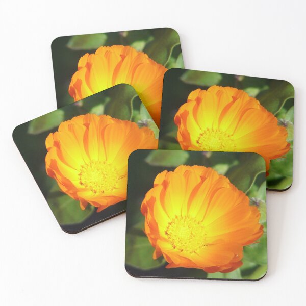 Item preview, Blooming designed and sold by pacontrer.