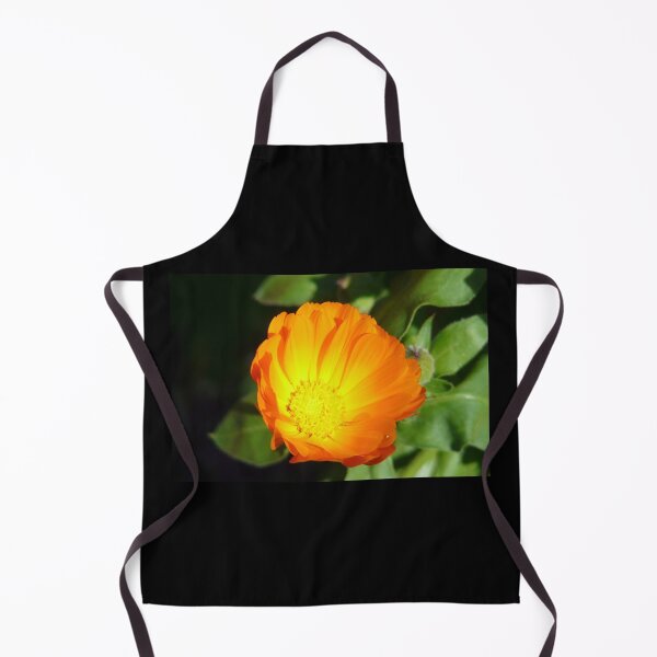 Item preview, Blooming designed and sold by pacontrer.