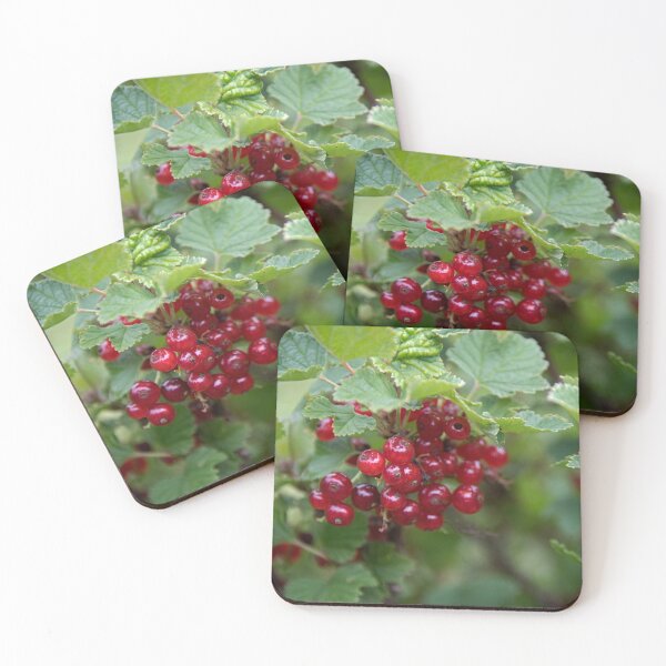Item preview, Pop of Color designed and sold by Rebecca Lefferts.