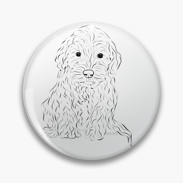 labradoodle accessories