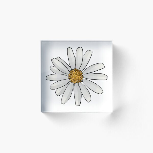 Oxeye Daisy Acrylic Block