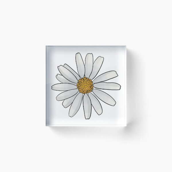 Oxeye Daisy Acrylic Block