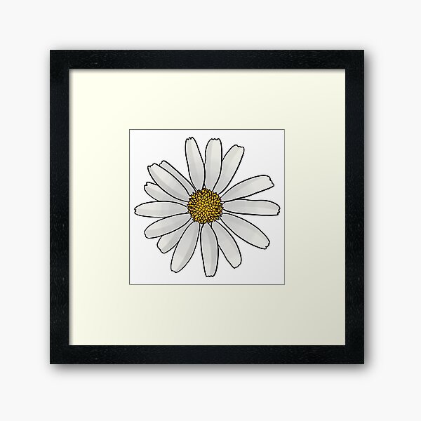 Oxeye Daisy Framed Art Print
