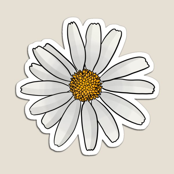Oxeye Daisy Magnet