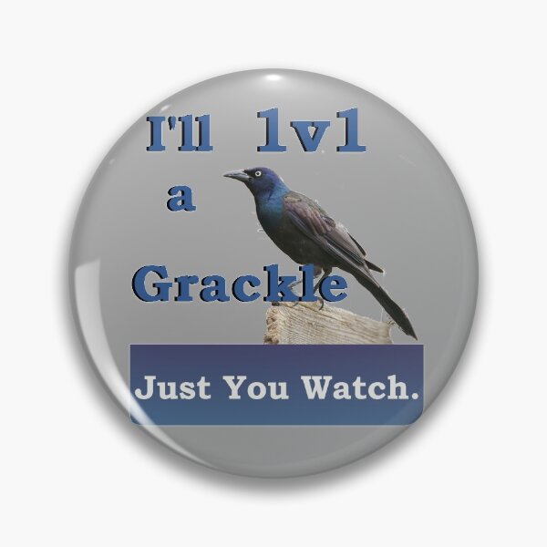 Item preview, I'll 1v1 a Grackle Just You Watch Slogan Tee designed and sold by nhitori.