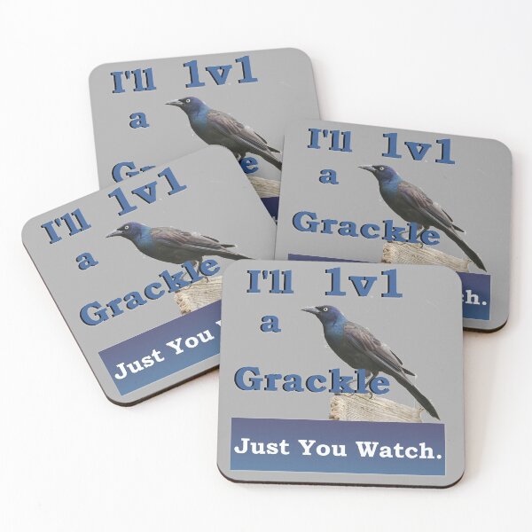 Item preview, I'll 1v1 a Grackle Just You Watch Slogan Tee designed and sold by nhitori.