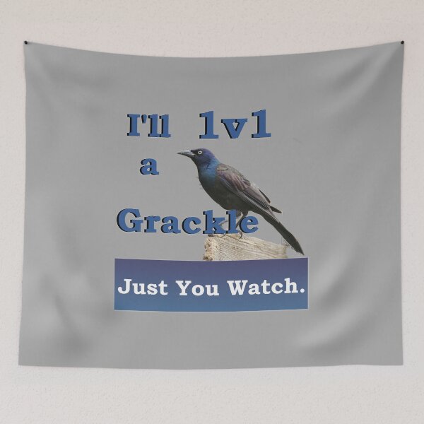 Item preview, I'll 1v1 a Grackle Just You Watch Slogan Tee designed and sold by nhitori.