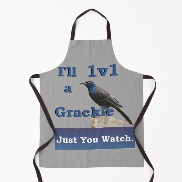 Item preview, I'll 1v1 a Grackle Just You Watch Slogan Tee designed and sold by nhitori.
