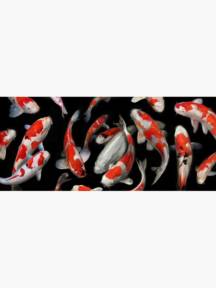 Thumbnail 3 of 3, Sticker, Koi Fish designed and sold by BoltonFineArt.