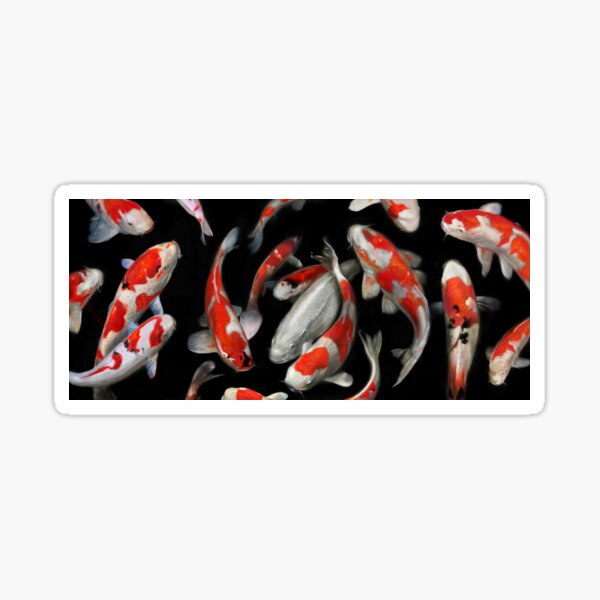 Koi Fish Sticker