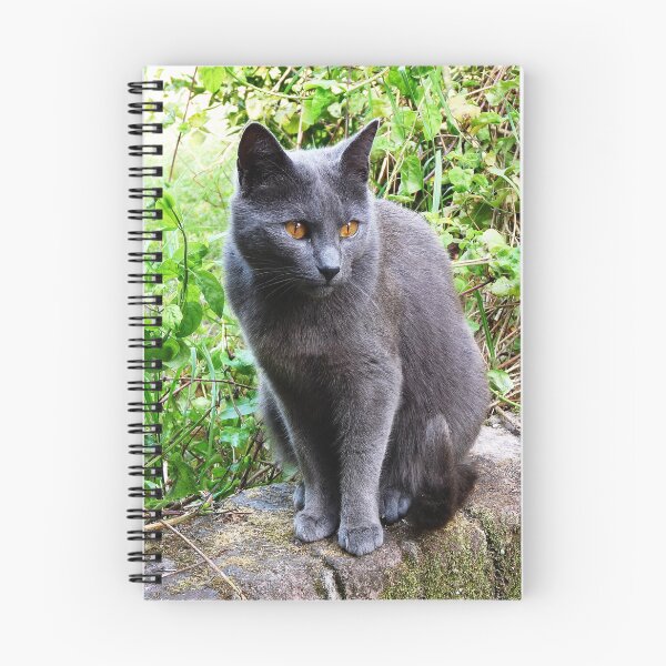 Item preview, Grey Cat  designed and sold by LivingDeadGirlx.