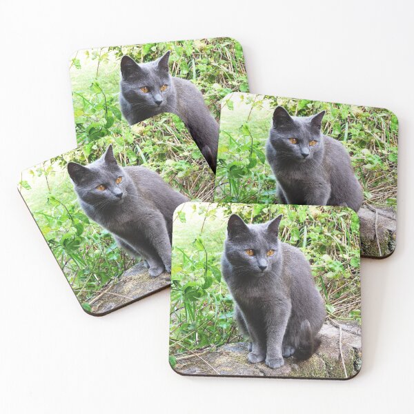 Item preview, Grey Cat  designed and sold by LivingDeadGirlx.