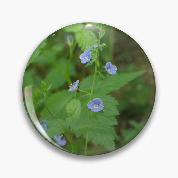 Item preview, blue flowers Veronica Chamaedrys designed and sold by mrivserg.