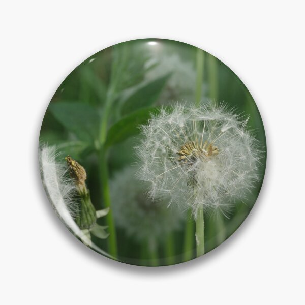 Item preview, dandelion seeds with fluffy umbrellas designed and sold by mrivserg.