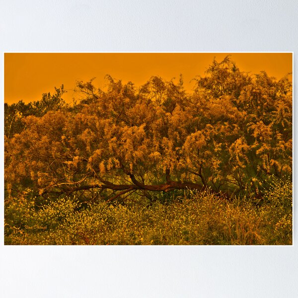 Item preview, Tree Surronded by Yellows designed and sold by Nira Dabush.