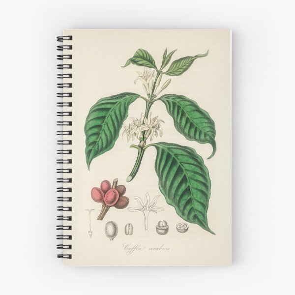Item preview, Arabic Coffe designed and sold by Subst4nce.