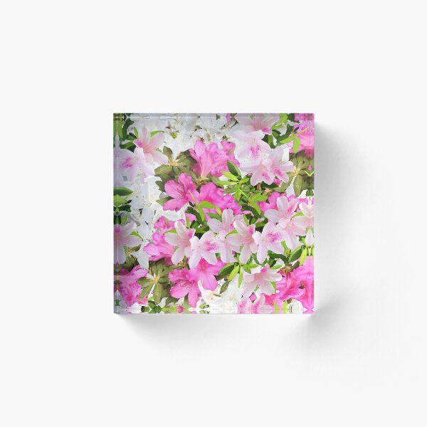 Azaleas Acrylic Block