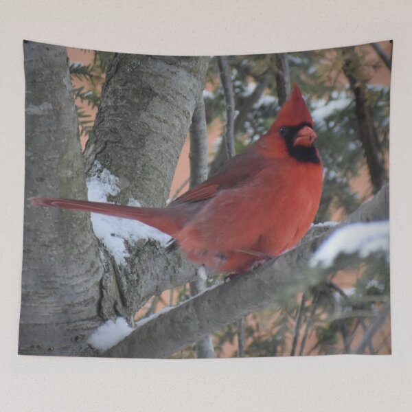 Item preview, Cardenal rojo brillante designed and sold by ReneeKennedy.