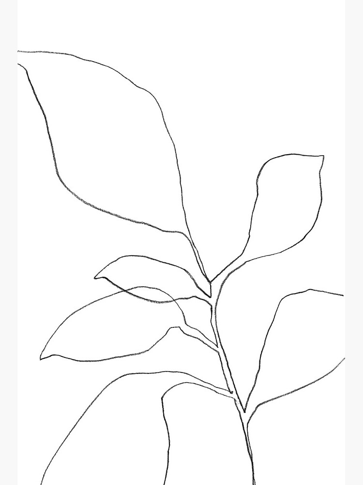 minimalist line art plant