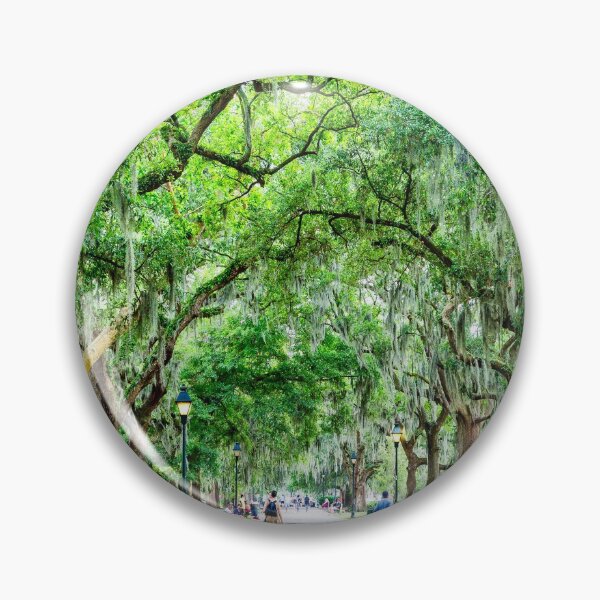 Item preview, Many People in Forsyth Park designed and sold by dbvirago.