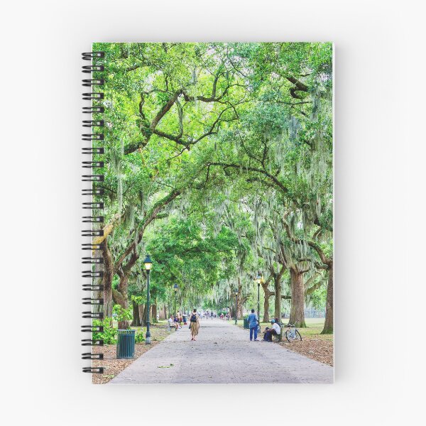 Item preview, Many People in Forsyth Park designed and sold by dbvirago.