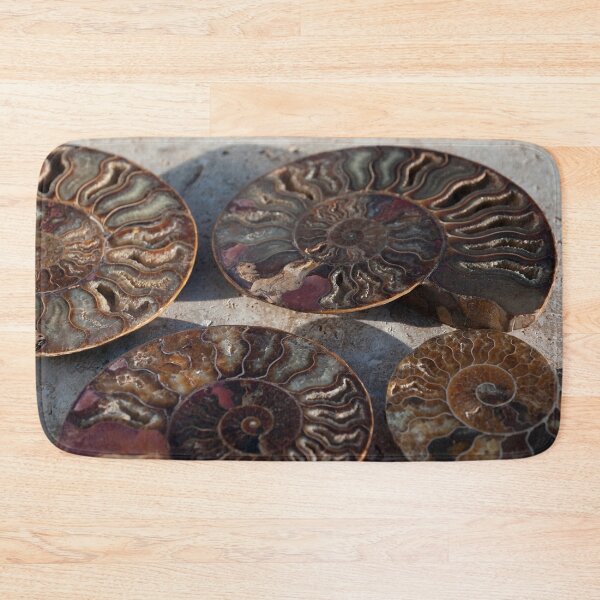 Item preview, Ammonite Fossils designed and sold by Elena Ray.