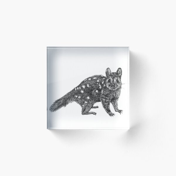 Amanda the Quoll Acrylic Block