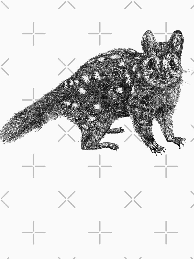 Amanda the Quoll by Wildcard-Sue