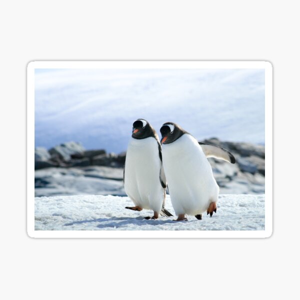 Item preview, Two Penguins in Snow designed and sold by jstem.