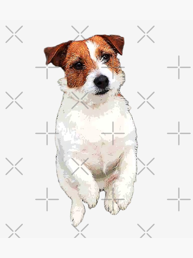 son buenos los jack russell terriers con otros perros