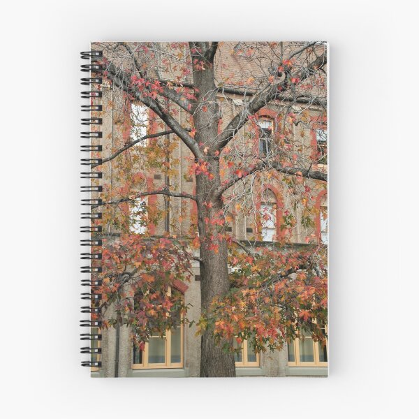 Item preview, convent tree designed and sold by Esther Frieda.