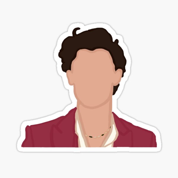 Shawn Mendes  Sticker