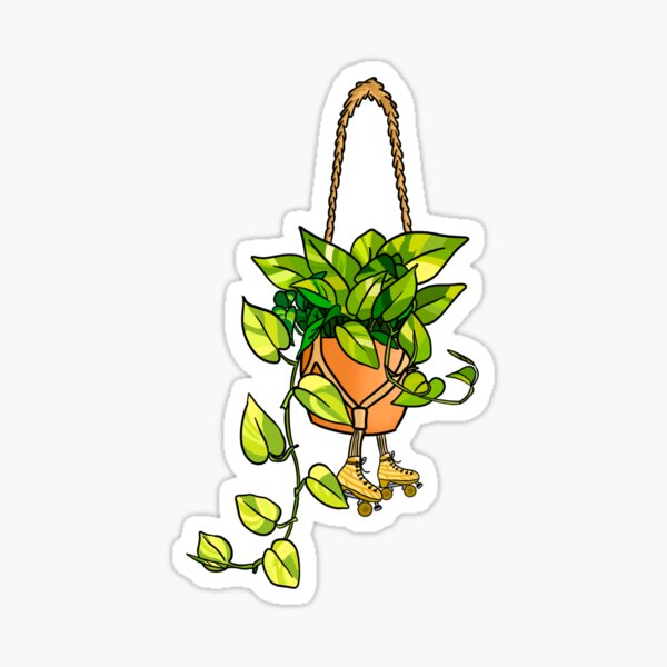 Item preview, Golden Pothos Roller Skating Hanging Plant designed and sold by Hotanist.