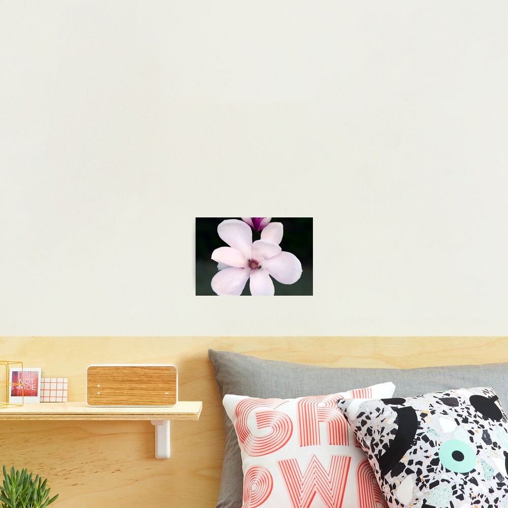 Item preview, Photographic Print designed and sold by ProfAudio.