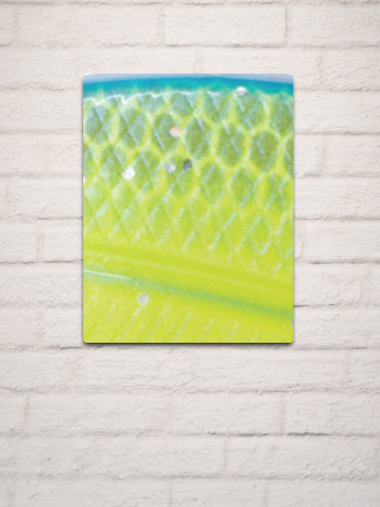 Blue aqua green and yellow fish scale swim Bait Fishing Lure Mermaid Color  Pattern  Metal Print for Sale by frankheights