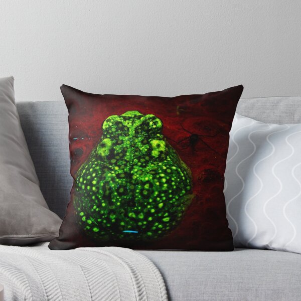 Artikelvorschau, Fluoreszierende Kröte entworfen und verkauft von Crotaluszonata.