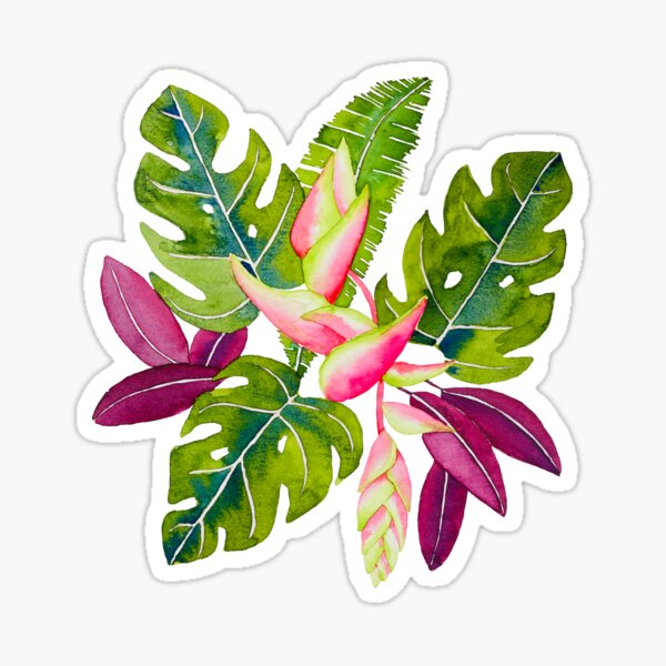 Hanging Heliconia Sticker