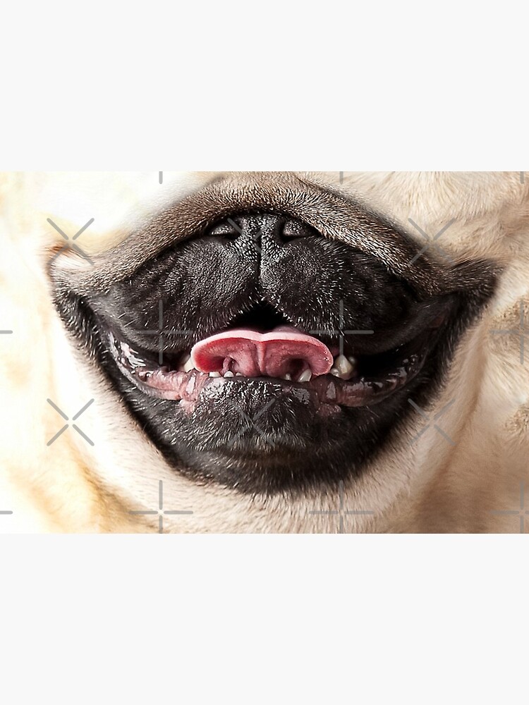 Pug Nose and Mouth ~ Cute and Funny Animal Medical Face Masks ~ 13 by Neon-Wolf