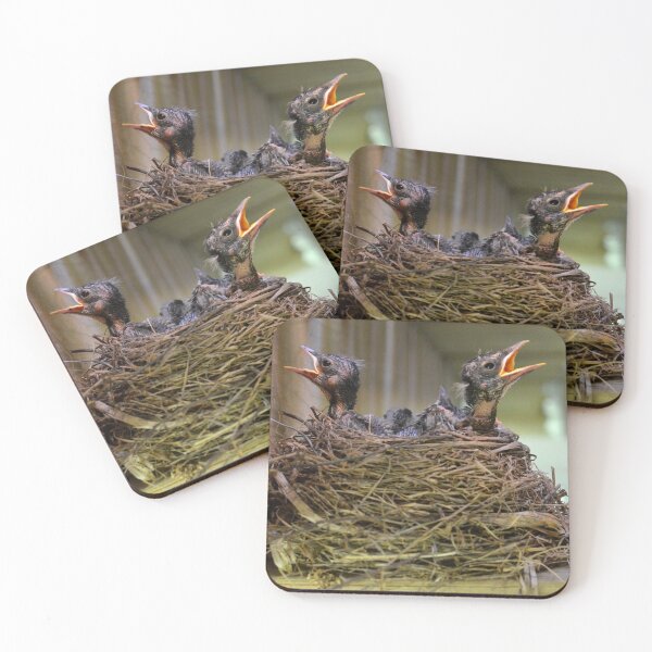 Item preview, Robins designed and sold by jdbruegger.