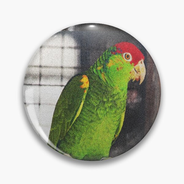 Item preview, Green and Red Budgie designed and sold by XCEEDTRANSITION.