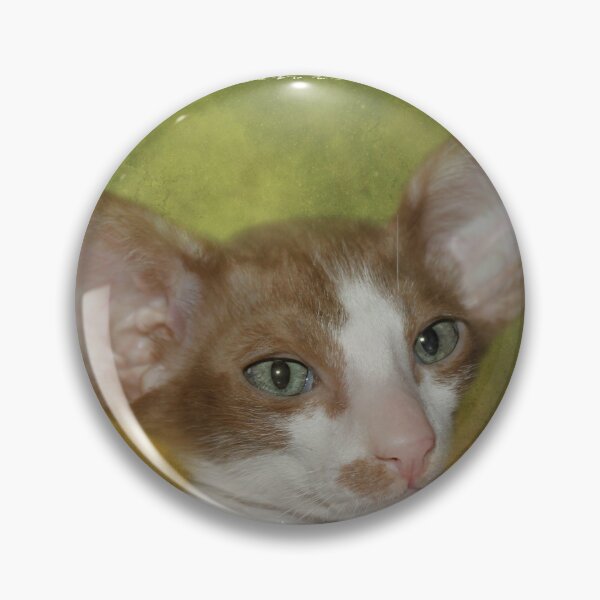 Item preview, Sweet Oriental Shorthair Kitten designed and sold by Elisabeth Lucas.