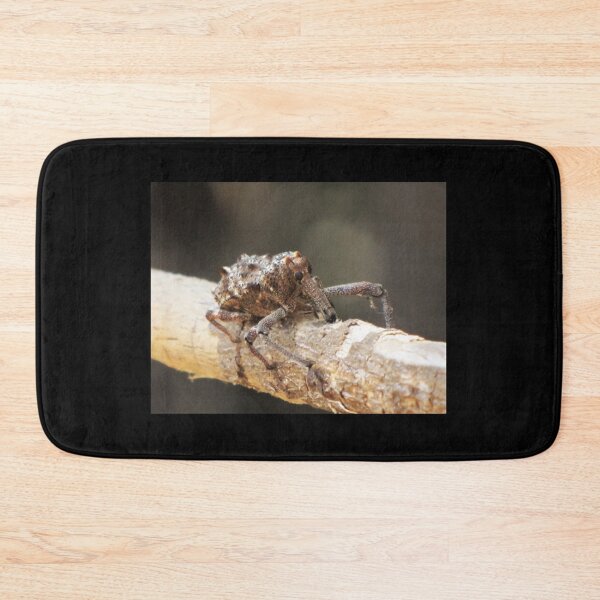 Item preview, Star Wars Beetle designed and sold by David Peake.