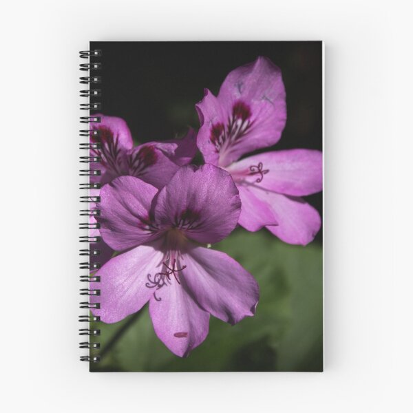 Item preview, Purple flowers Leith Park Victoria 20151103 0552 designed and sold by Fred Mitchell.