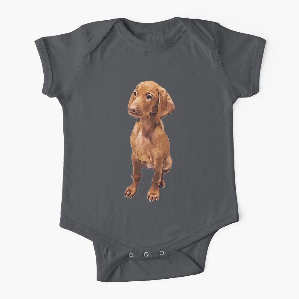 Baby vizsla best sale