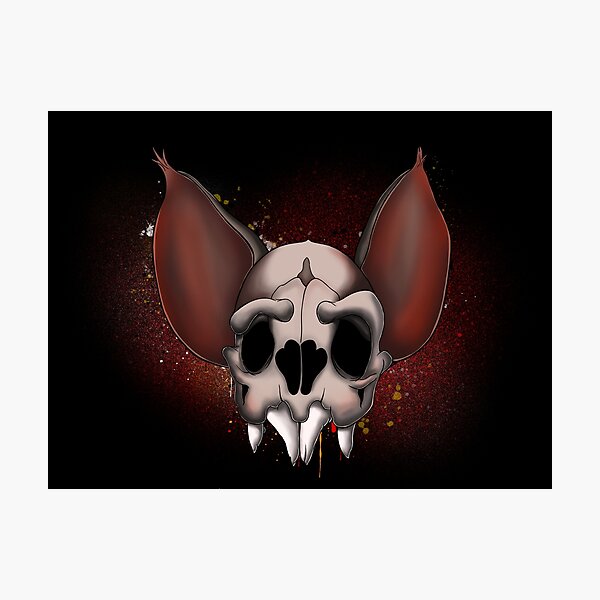 Bruce Skelton Photographic Print