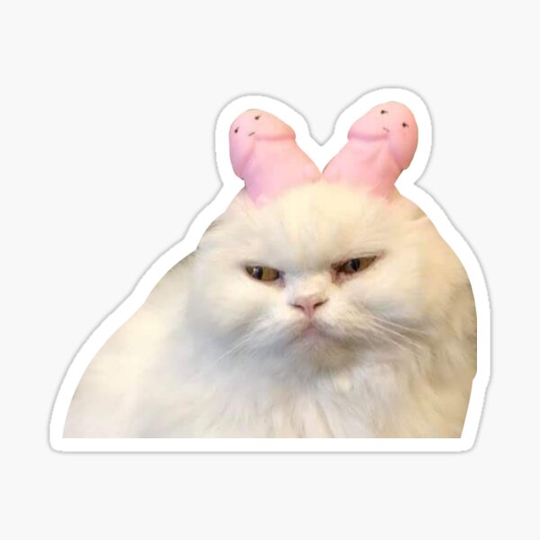 Grumpy cat meme Sticker