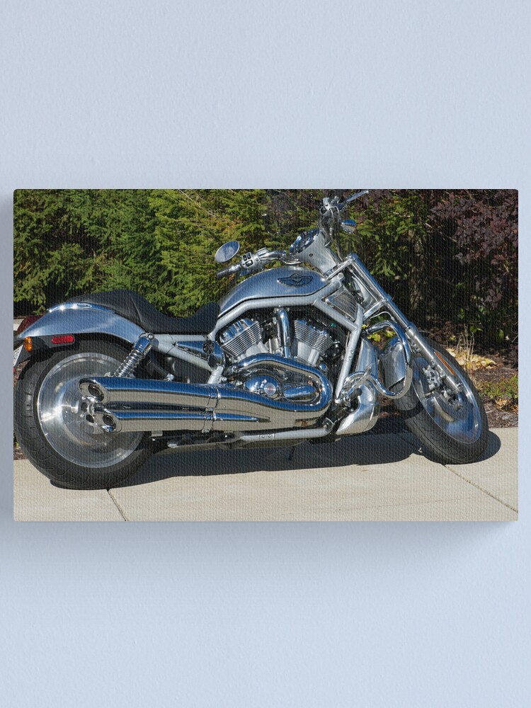 2003 Harley V 03 V Rod For Sale 2003 Harley Used Harley Davidson